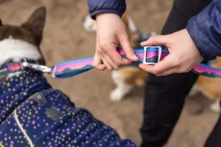 RuffWear Crag Ex Leash koirien talutushihna, Alpine Dawn| Taluttimet