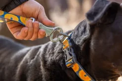 RuffWear Taluttimet^Crag EX Leash koiran talutushihna, Canyon Oxbow