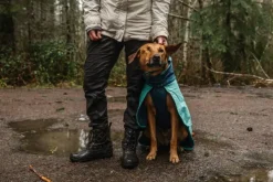 RuffWear Dirtbag Dog Towel kuivaustakki, Aurora Teal| Kuivausloimet