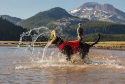 RuffWear Koiran Pelastusliivit^Float Coat koiran pelastusliivit, Red Sumac