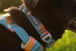 RuffWear Front Range Collar kaulapanta, ruskea| Kaulapannat