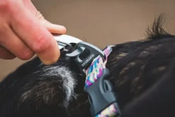 RuffWear Kaulapannat^Front Range Collar koiran kaulapanta, Mountains Logo