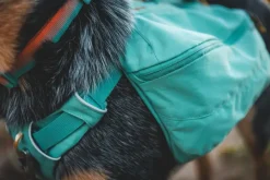 RuffWear Front Range Day Pack koiran reppu, harmaa| Koiran Reput