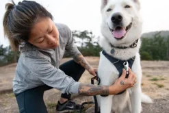 RuffWear Valjaat^Front Range Harness valjaat, tummanharmaa