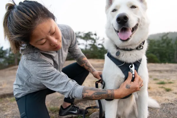 RuffWear Valjaat^Front Range Harness valjaat, tummanharmaa