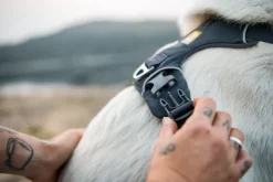 RuffWear Valjaat^Front Range Harness valjaat, tummanharmaa