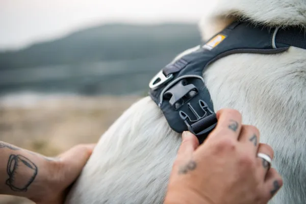 RuffWear Valjaat^Front Range Harness valjaat, tummanharmaa