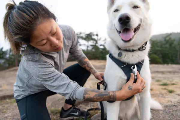RuffWear Valjaat^Front Range Harness valjaat, harmaavihreä