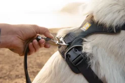 RuffWear Valjaat^Front Range Harness Blaze Orange M