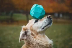 RuffWear Gnawt-a-Rock Toy Purple Orchid| Aktivointilelut