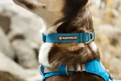 RuffWear Hi & Light Collar kaulapanta, pinkki| Kaulapannat
