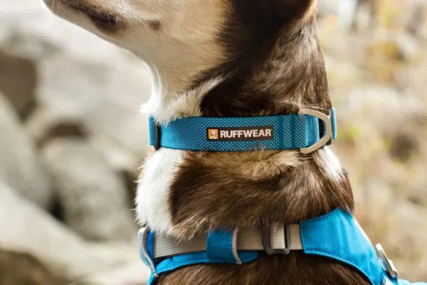 RuffWear Hi & Light Collar kaulapanta, pinkki| Kaulapannat