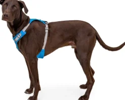 RuffWear Valjaat^Hi & Light Harness valjaat, harmaa