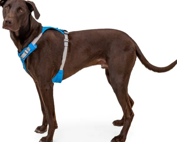 RuffWear Valjaat^Hi & Light Harness valjaat, harmaa