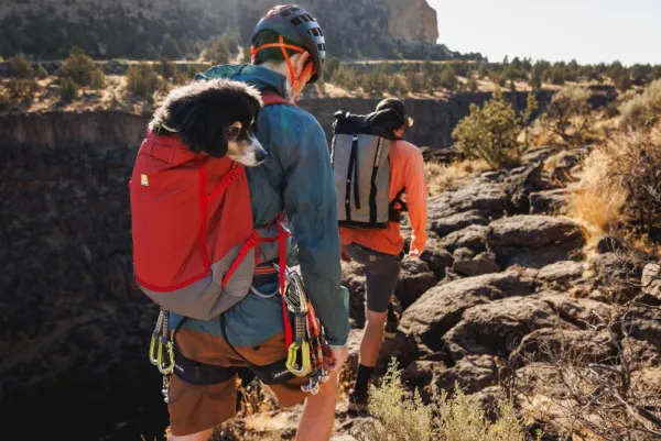 RuffWear Hitch Hiker Dog Backpack Carrier Basalt Gray| Koiran Reput