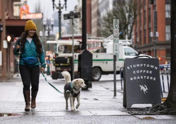 RuffWear Home Trail Hip Pack vyölaukku, Heliotrope Purple| Koirankakkapussit