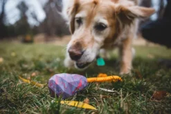 RuffWear Aktivointilelut^Huck-a-Cone Toy Glacial Blue
