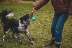 RuffWear Huck-a-Cone Toy Salamander Orange| Aktivointilelut
