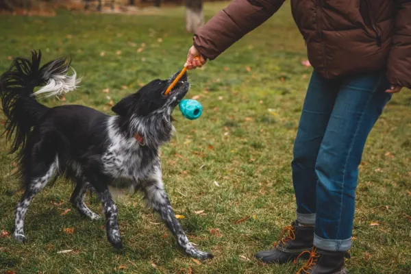 RuffWear Huck-a-Cone Toy Salamander Orange| Aktivointilelut