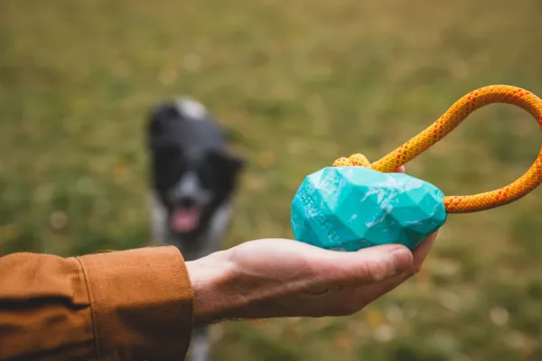 RuffWear Huck-a-Cone Toy Salamander Orange| Aktivointilelut