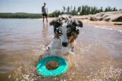 RuffWear Aktivointilelut^Hydro Plane Toy Biolumin Blue