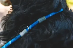 RuffWear Kaulapannat^Just-a-Cinch Leash koiran talutushihna, Blue Pool
