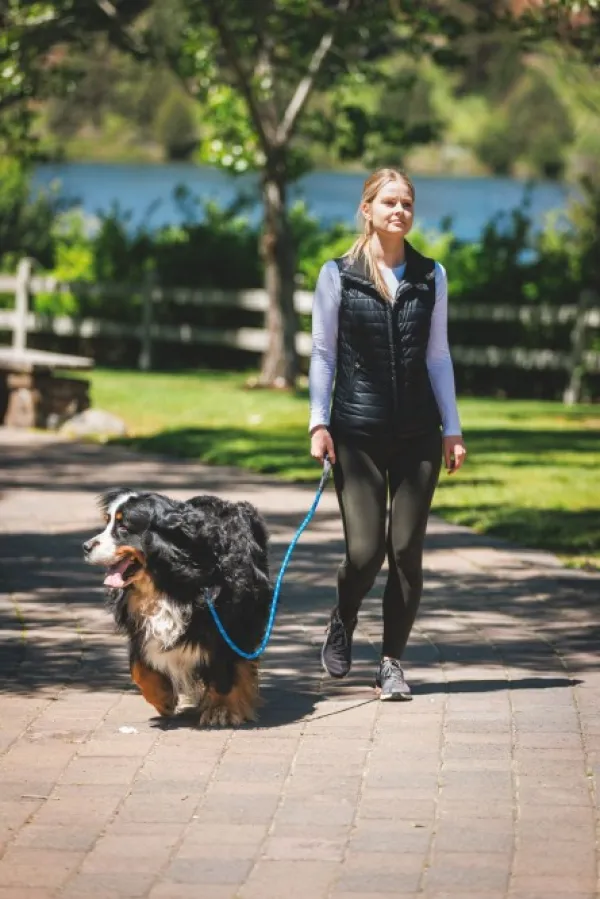 RuffWear Kaulapannat^Just-a-Cinch Leash koiran talutushihna, Blue Pool