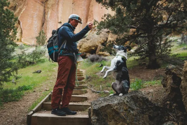 RuffWear Knot-a-Collar koiran kaulapanta, Obsidian Black| Kaulapannat