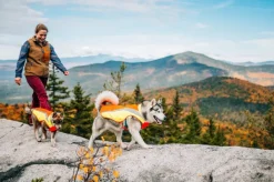 RuffWear Lumenglow Hi-Viz Jacket huomiotakki, oranssi/keltainen| Liivit