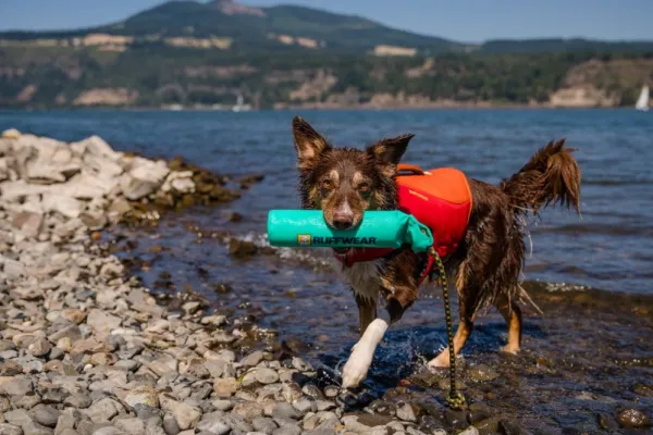 RuffWear Lunker Toy Biolumin Blue| Aktivointilelut