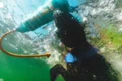 RuffWear Aktivointilelut^Lunker Toy Purple Orchid