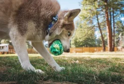 RuffWear Morel koiran lelu, Moss Green| Aktivointilelut