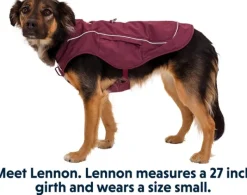 RuffWear Sadetakit^Overcoat Fuse Jacket koiran takki, punavioletti