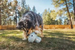 RuffWear Aktivointilelut^Porchini koiran lelu, Gray Sky