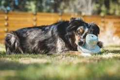 RuffWear Aktivointilelut^Porchini koiran lelu, Gray Sky
