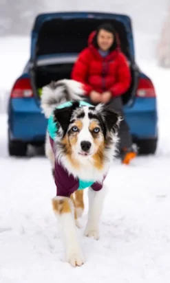 RuffWear Powder Hound Jacket koiran talvitakki, Aurora Teal| Talvitakit