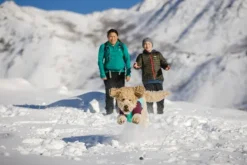 RuffWear Powder Hound Jacket koiran talvitakki, Aurora Teal| Talvitakit