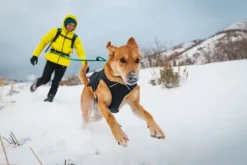 RuffWear Talvitakit^Quinzee Insulated Jacket koiran talvitakki, Obsidian Black