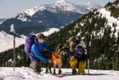 RuffWear Quinzee Jacket koiran takki, oranssi| Talvitakit