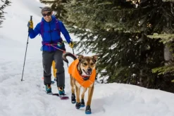 RuffWear Quinzee Jacket koiran takki, oranssi| Talvitakit