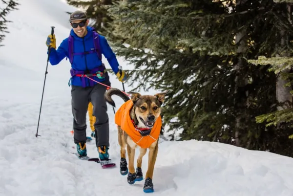 RuffWear Quinzee Jacket koiran takki, oranssi| Talvitakit