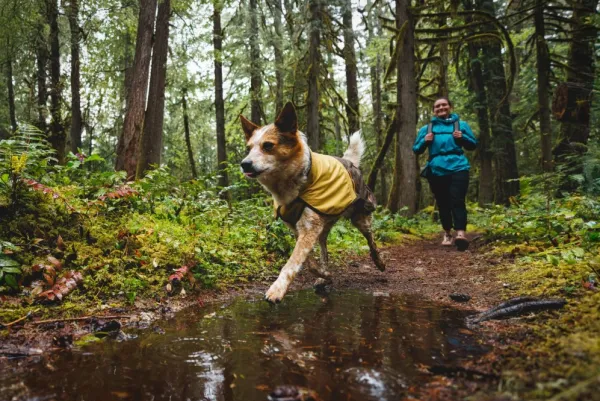 RuffWear Sadetakit^Sun Shower Jacket sadetakki, M-XL ,Earth Brown