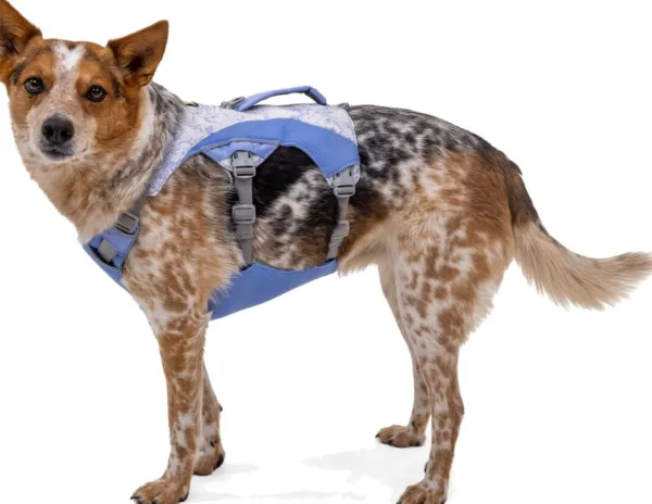 RuffWear Valjaat^Swamp Cooler Harness viilentävät valjaat, pastellinsininen
