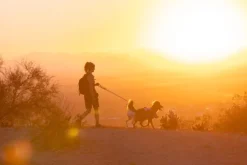 RuffWear Valjaat^Swamp Cooler Harness viilentävät valjaat, pastellinsininen