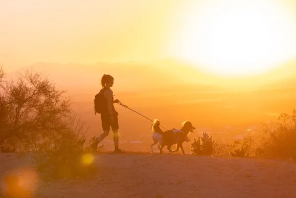 RuffWear Valjaat^Swamp Cooler Harness viilentävät valjaat, pastellinsininen