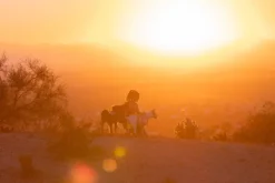 RuffWear Valjaat^Swamp Cooler Harness viilentävät valjaat, pastellinsininen