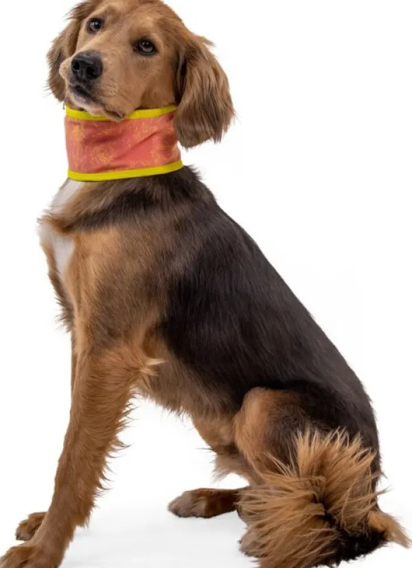 RuffWear Viilennys Ja Aurinkosuoja^Swamp Cooler Neck Gaiter koirien viilennyskauluri