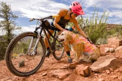 RuffWear Viilennys Ja Aurinkosuoja^Swamp Cooler Neck Gaiter koirien viilennyskauluri