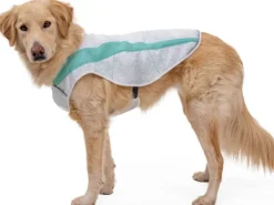 RuffWear Aurinkosuoja^Swamp Cooler Vest Graphite Gray