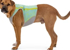 RuffWear Swamp Cooler Zip Vest koiran viilentävä liivi| Viilennys Ja Aurinkosuoja
